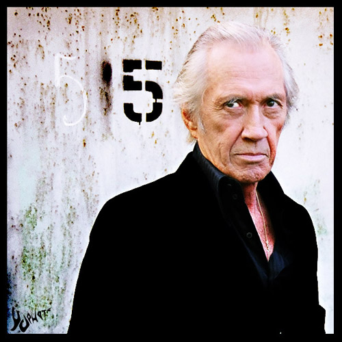 My Funny (Late) Valentine 