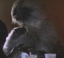 Ooops! I think I sucked up a red jellybean!