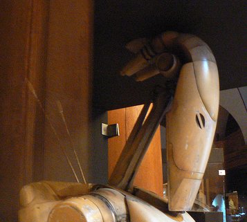 Rojic! Rojic! Kill Rojic!