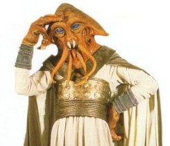 I'm thinking of getting a perm!