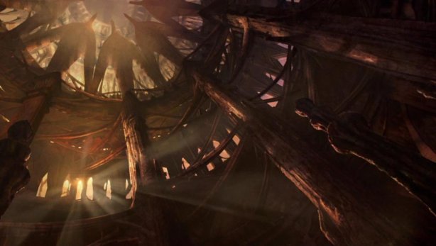 Arena at the winter palace -or is it the summer?