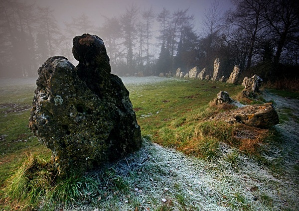 Cairn. And not a terrier in sight!